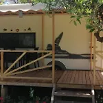 Kara Kedi Çıralı