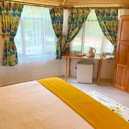 Bed & Breakfast Kara Kedi Çıralı