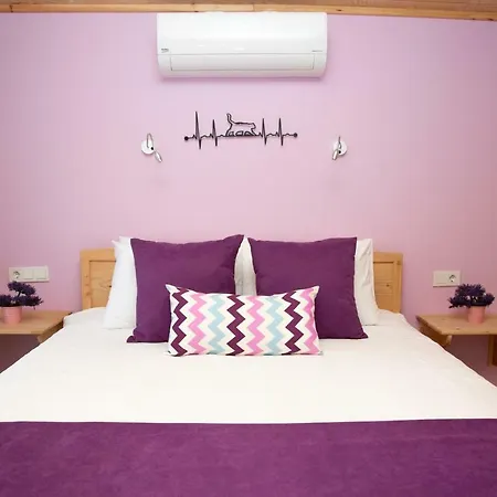 Bed and breakfast Kara Kedi 4*