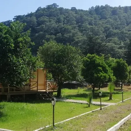 Bed & Breakfast Kara Kedi 4*