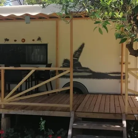 Kara Kedi Cirali