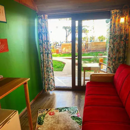 B&B Kara Kedi *