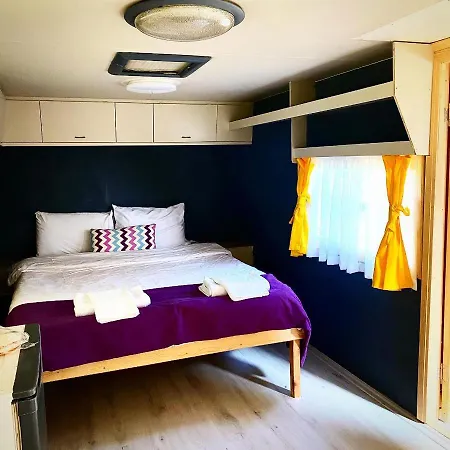 B&B Kara Kedi