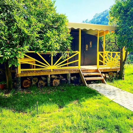 Kara Kedi B&B *