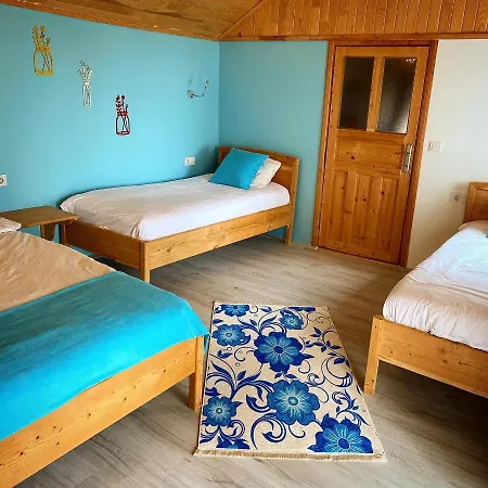 B&B Kara Kedi Çıralı