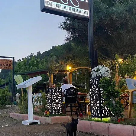 Bed and breakfast Kara Kedi Çıralı