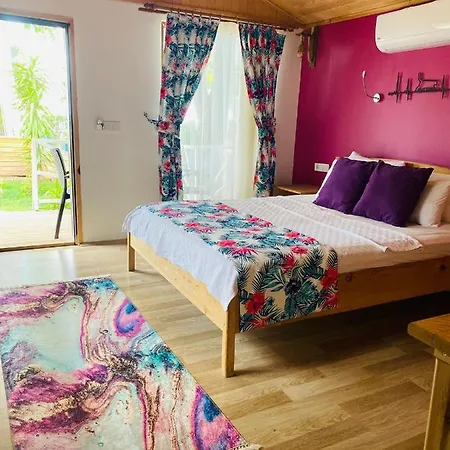 Bed and breakfast Kara Kedi *