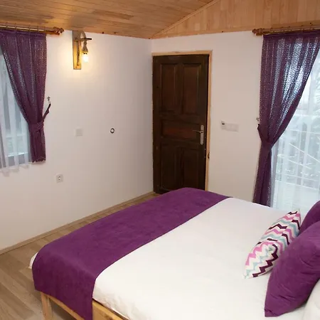 住宿加早餐酒店 Kara Kedi Çıralı