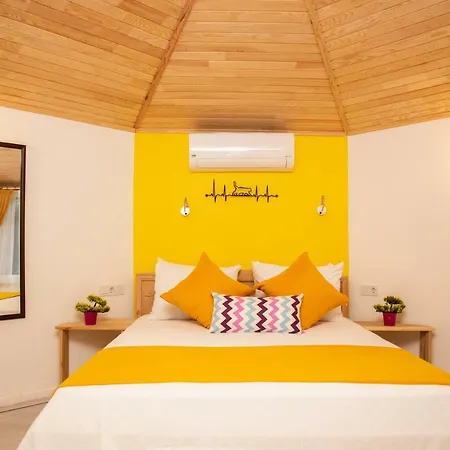 Kara Kedi 住宿加早餐酒店 Çıralı