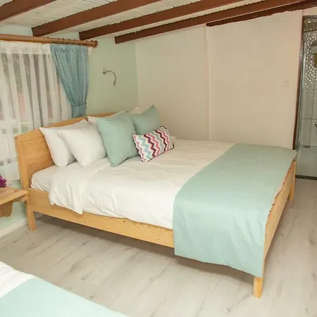 住宿加早餐酒店 Kara Kedi 4*