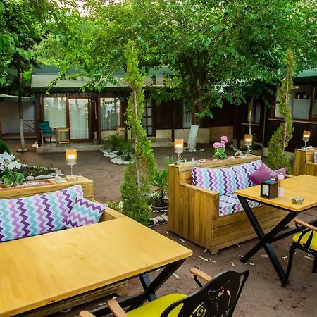 Kara Kedi 4* Çıralı