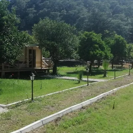 住宿加早餐酒店 Kara Kedi 4*