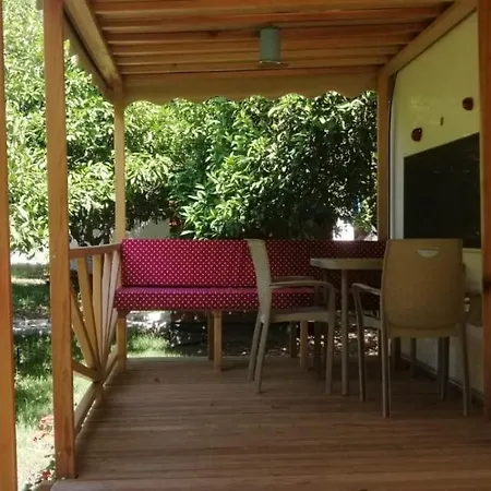 Kara Kedi 住宿加早餐酒店 Çıralı