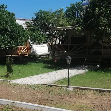 B&B Kara Kedi