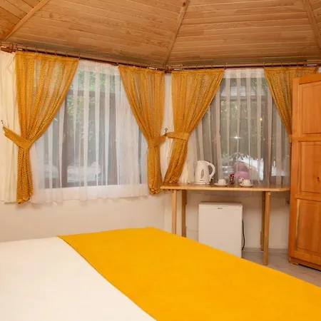 ベッド・アンド・ブレックファスト Kara Kedi Çıralı